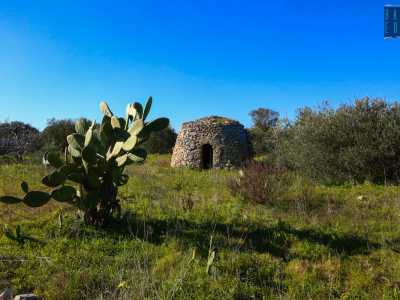 ...strutture in pietra dalla forma di trullo un tempo utilizzate dai contadini